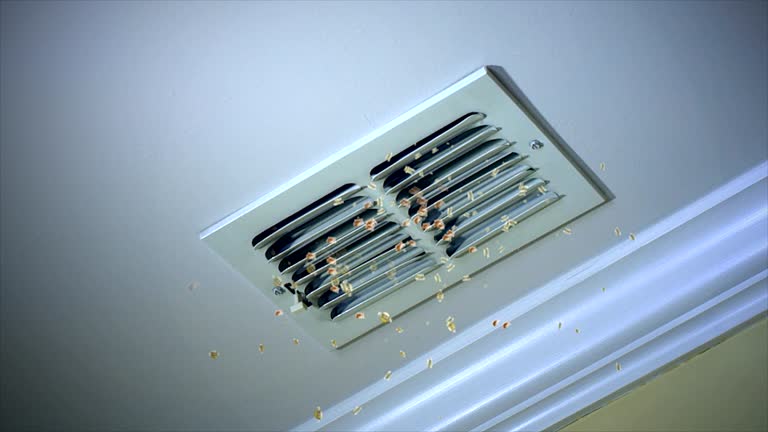 Best Emergency Air Duct Cleaning  in Pasadena Hills, MO