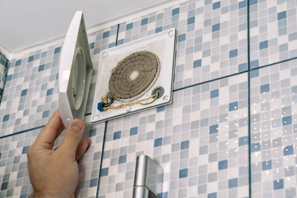 Best Air Duct Mold Removal  in Pasadena Hills, MO